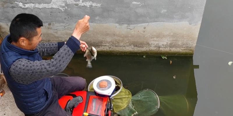 北方小河钓鱼技巧有哪些？如何提高钓获率？  第2张