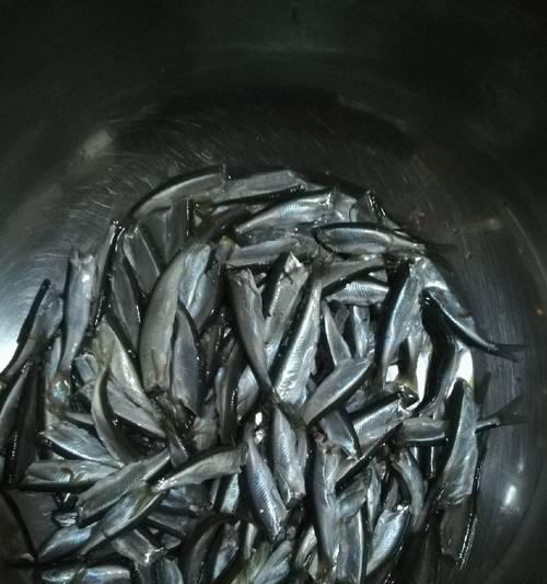 北方元宵节过后钓鱼技巧有哪些？如何提高钓鱼成功率？  第1张