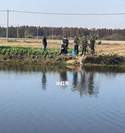 北方运河钓鱼技巧有哪些？如何提高钓鱼成功率？  第3张
