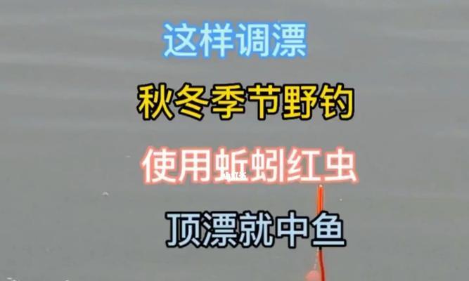 北方早春野钓鱼技巧有哪些？如何应对早春钓鱼的常见问题？  第1张