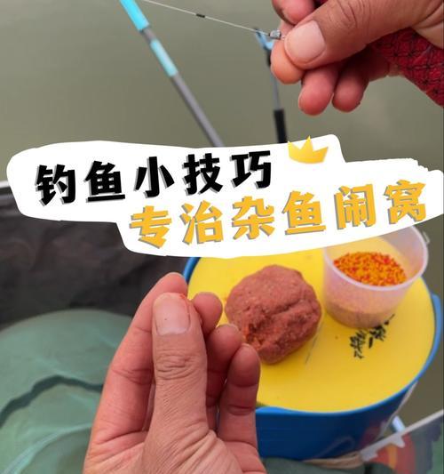 北方早春野钓鱼技巧有哪些？如何应对早春钓鱼的常见问题？  第2张