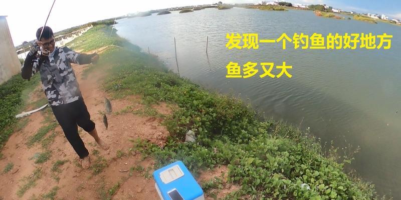 北海钓鱼的技巧有哪些？如何提高钓鱼成功率？  第2张