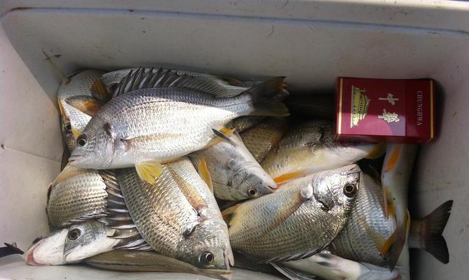 北海钓鱼最佳方法和技巧是什么？如何提高钓鱼技巧？  第3张