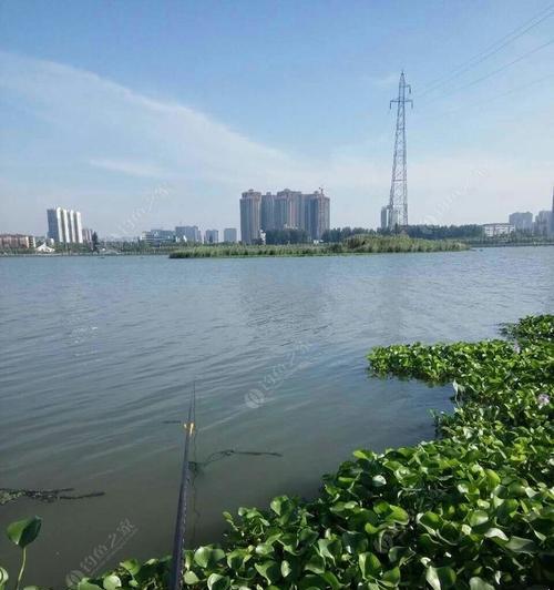 北四环河钓鱼技巧有哪些？如何提高钓鱼成功率？  第3张