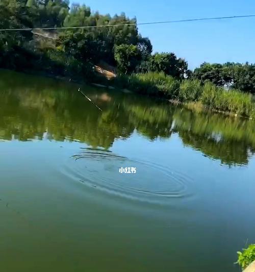 秋季钓鱼技巧有哪些？不同阶段钓鱼方法有何不同？  第2张