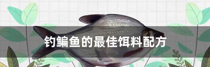 鳊鱼习性是什么？垂钓时有哪些技巧？  第1张