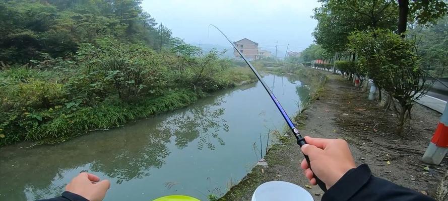 传统钓鱼野钓实战技巧有哪些？如何提高钓鱼成功率？  第2张