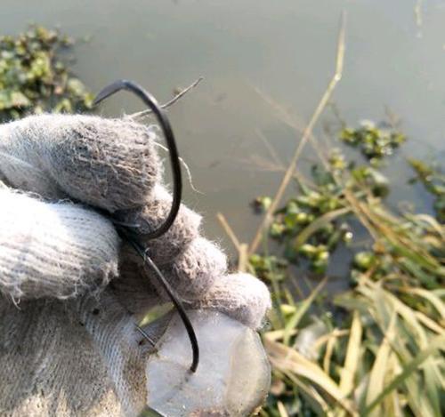 传统江湖钓鱼技巧有哪些？如何应对常见钓鱼问题？  第2张