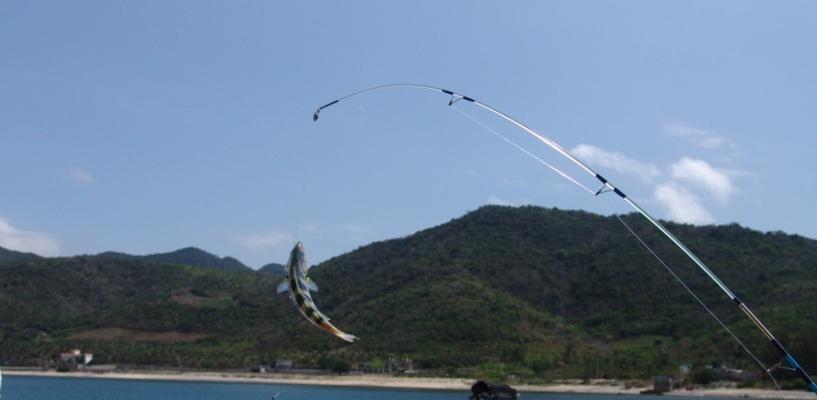 船钓海鱼方法与技巧是什么？如何提高钓海鱼的成功率？  第3张