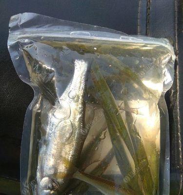船钓黑头鱼的技巧有哪些？如何提高钓获率？  第2张