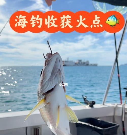 船钓小鱼的技巧有哪些？如何提高船钓小鱼的成功率？  第3张