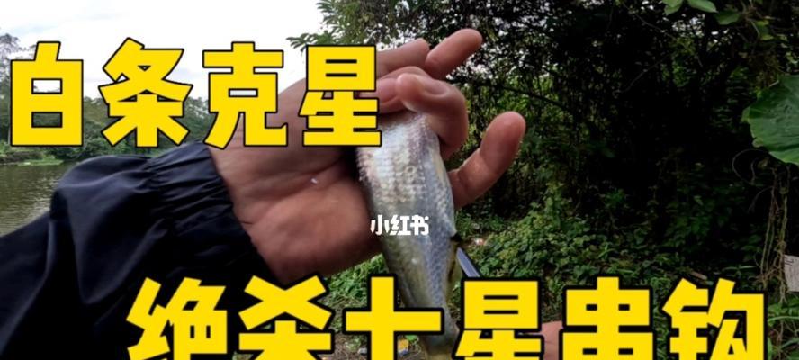 串钩夜钓白条技巧有哪些？如何提高夜钓白条的成功率？  第1张