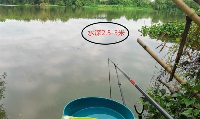 春末夏初阴冷天气钓鱼技巧是什么？如何应对气候变化提高钓鱼成功率？  第3张
