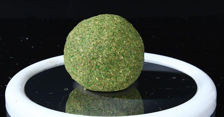 春天钓鱼技巧有哪些？最佳饵料配方是什么？  第1张