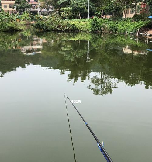 春天河边钓鱼技巧有哪些？如何提高钓鱼成功率？  第3张