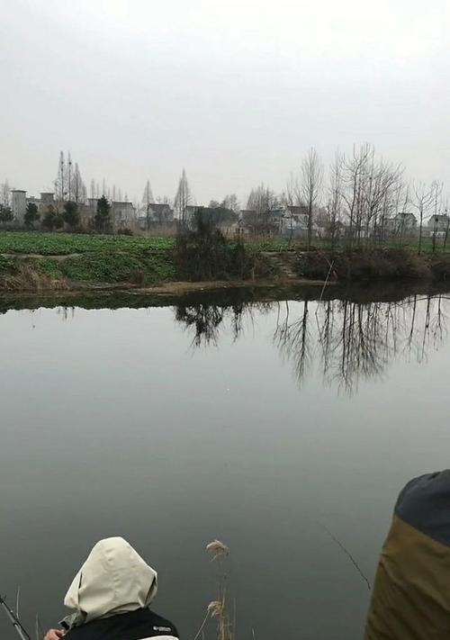 春天河道阴天钓鱼技巧是什么？如何提高钓鱼成功率？  第3张