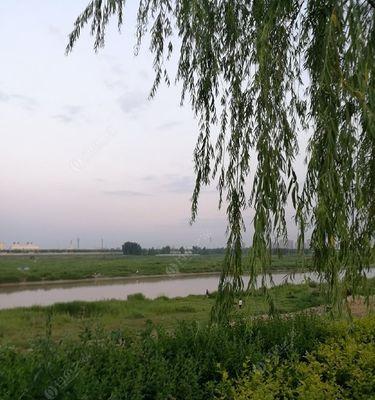 春天沙坑钓鱼技巧有哪些？如何提高春季沙坑钓鱼的成功率？  第3张