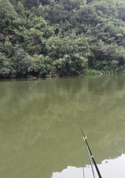 春天水深5月米钓鱼技巧是什么？如何提高钓鱼成功率？  第3张