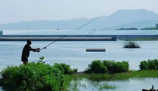 大水面海竿钓鱼技巧有哪些？如何提高钓鱼成功率？  第3张