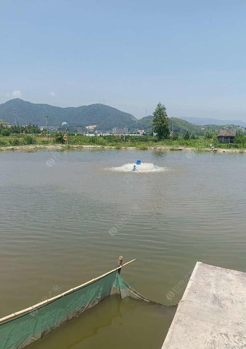 大水面湖库钓鱼技巧有哪些？如何提高钓鱼成功率？  第2张