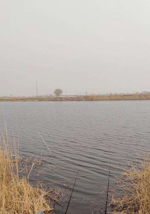 大水面湖库钓鱼技巧有哪些？如何提高钓鱼成功率？  第3张