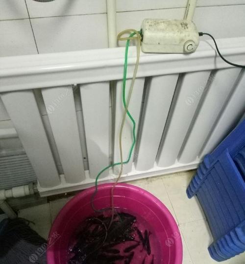 大雾天气钓鱼技巧有哪些？如何提高雾天钓鱼的成功率？  第2张