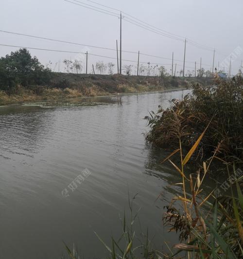 大溪河钓鱼技巧教学？如何提高钓鱼成功率？  第2张