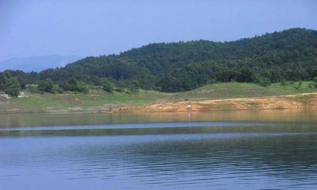 大型水库野钓技巧讲解？如何提高钓鱼成功率？  第3张