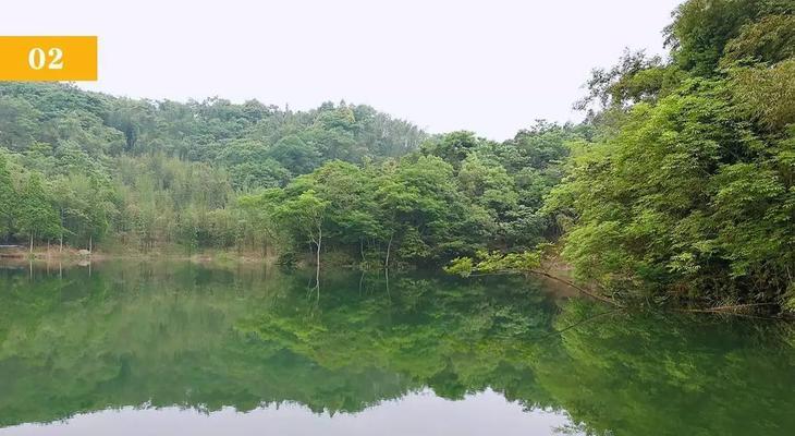 大学城莲花湖水库钓鱼技巧有哪些？如何提高钓鱼成功率？  第3张