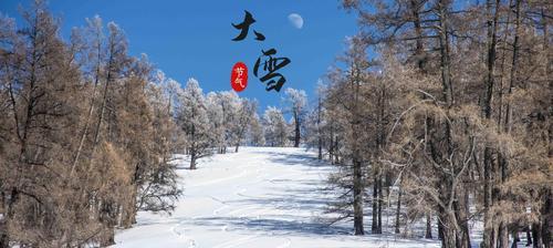 大雪节气钓鱼方法和技巧是什么？如何应对冬季钓鱼的挑战？  第3张