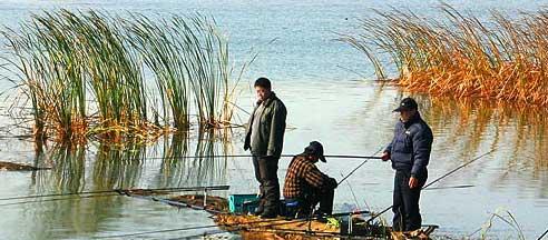 大雁湖钓鱼技巧有哪些？如何提高钓鱼成功率？  第3张