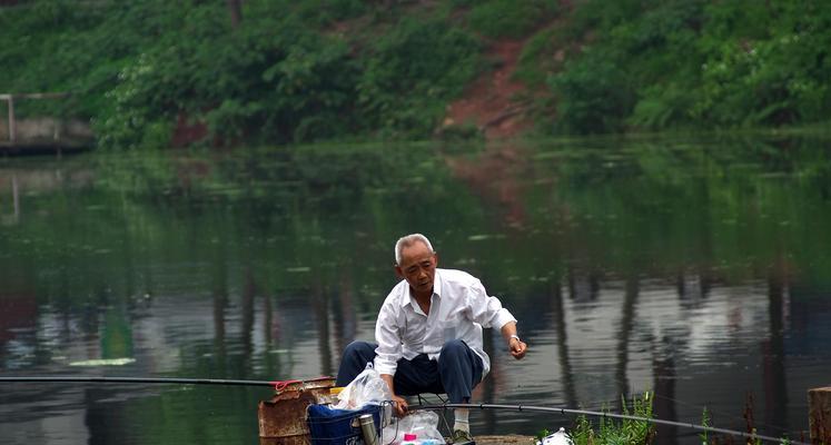 大野河钓鱼技巧有哪些？如何提高钓鱼成功率？  第2张