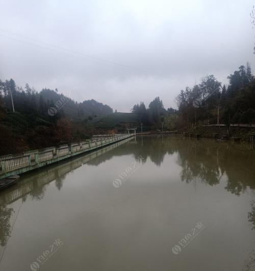 大鱼塘水库钓鱼技巧有哪些？如何提高钓鱼成功率？  第2张