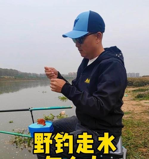 大雨过后钓鱼技巧有哪些？如何应对雨后钓鱼的挑战？  第2张