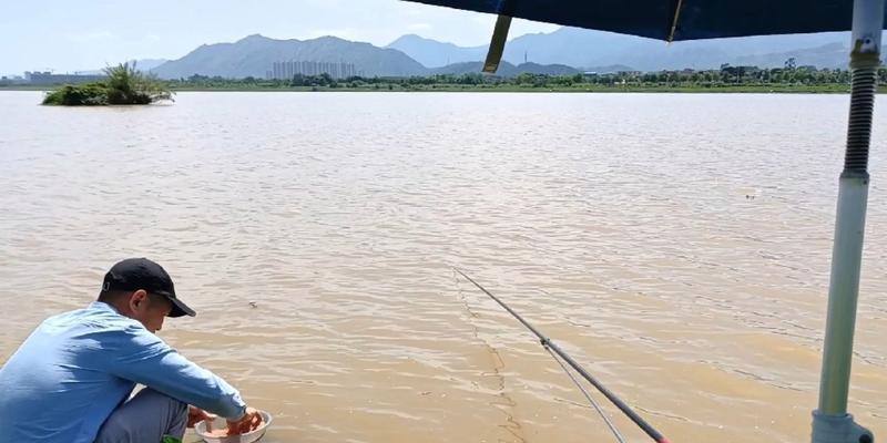 大雨过后水库放水钓鱼技巧有哪些？如何应对放水后的钓鱼环境变化？  第2张