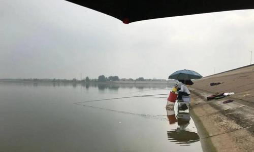 大雨后钓鱼的正确方法和技巧是什么？如何应对雨后钓鱼的挑战？  第3张