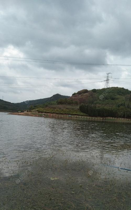 大雨后如何在水库钓鲫鱼？有哪些有效技巧和方法？  第3张