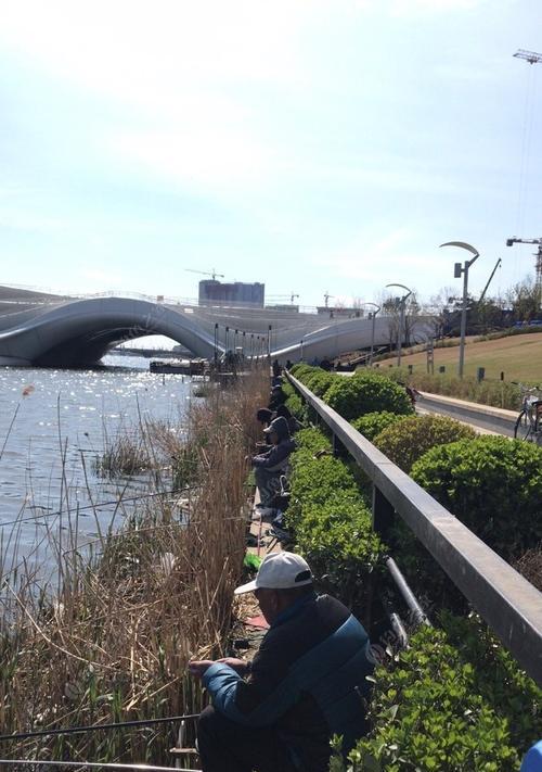 大运河里钓鱼技巧有哪些？如何提高钓鱼成功率？  第3张