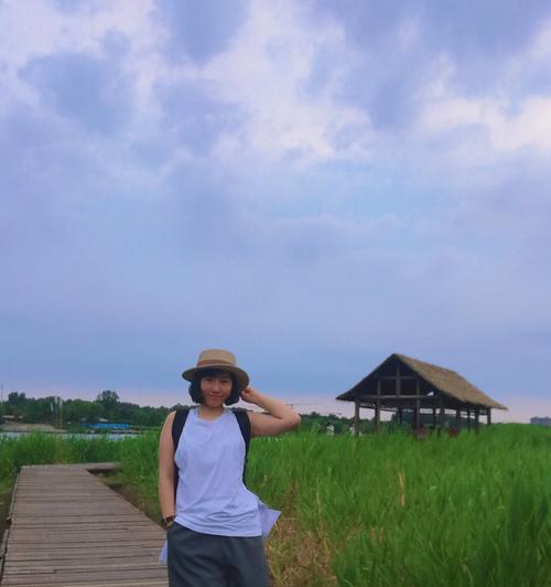 大运河野钓芦苇荡技巧有哪些？如何提高钓获率？  第3张