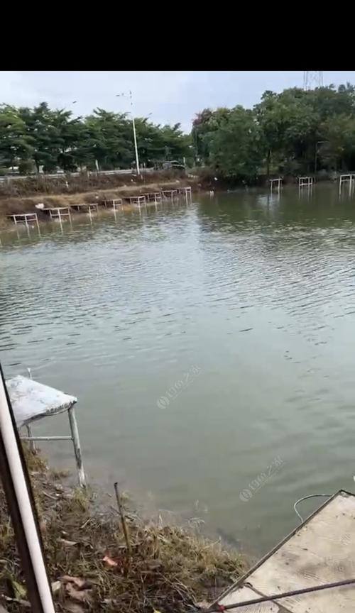 大战黑坑钓鱼技巧有哪些？如何提高钓鱼成功率？  第1张