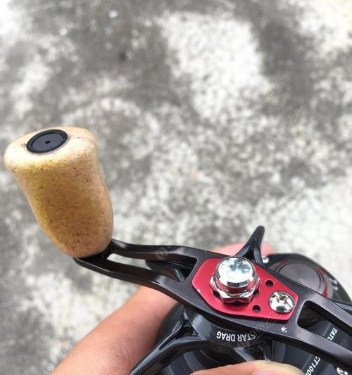 大蜘蛛钓鱼技巧有哪些？如何提高钓鱼成功率？  第3张