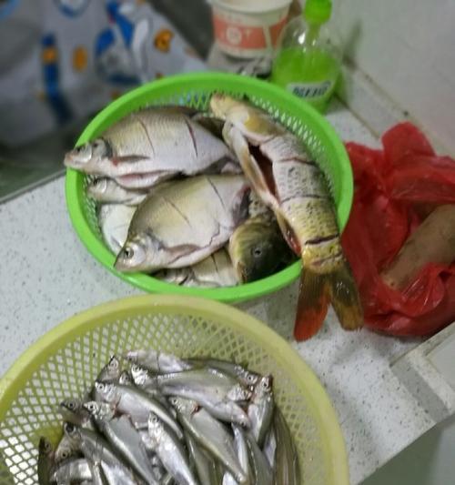带女儿去钓鱼技巧是什么？如何让钓鱼活动更有趣？  第3张