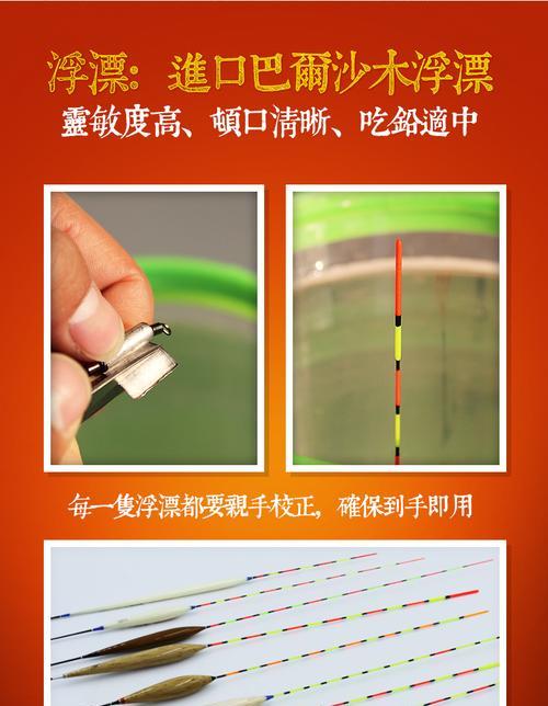 如何正确使用带双钩浮漂进行钓鱼？调钓技巧有哪些常见问题？  第2张