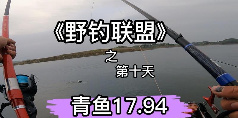 丹江口江边钓鱼技巧有哪些？如何提高钓鱼成功率？  第1张