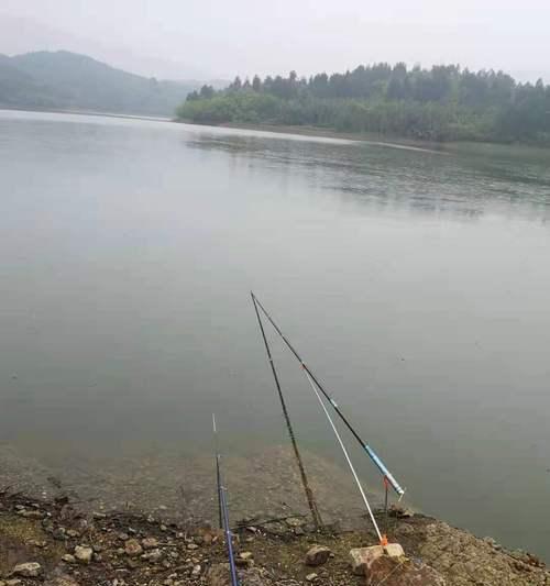 单手抛竿钓鱼技巧和方法有哪些？如何提高单手抛竿的准确性？  第3张