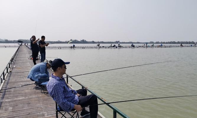 单位钓鱼比赛技巧有哪些？如何提高钓鱼比赛成绩？  第1张