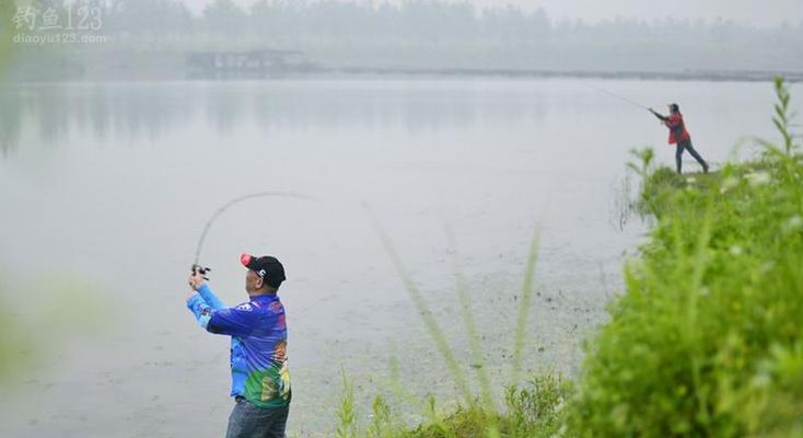 淡水湖钓鱼技巧有哪些？如何提高钓鱼成功率？  第2张