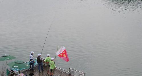 淡水湖水库钓鱼技巧和方法？如何提高钓鱼成功率？  第2张