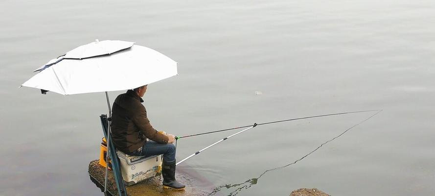 钓鱼捕鱼方法技巧有哪些？如何提高捕鱼效率？  第1张