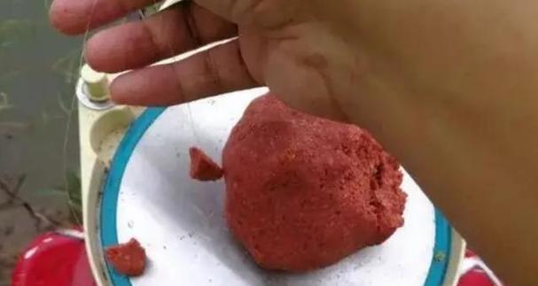 如何掌握钓鱼不吃饵的技巧？常见问题有哪些？  第2张